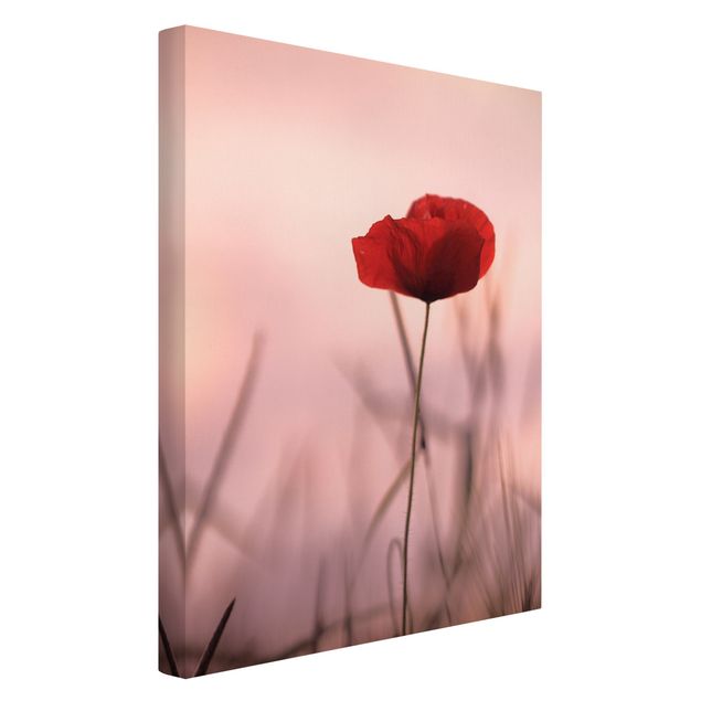 Canvas schilderijen Poppy Flower In Twilight