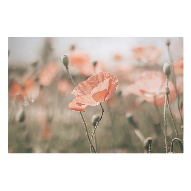 Canvas schilderijen Sun-Kissed Poppy Fields