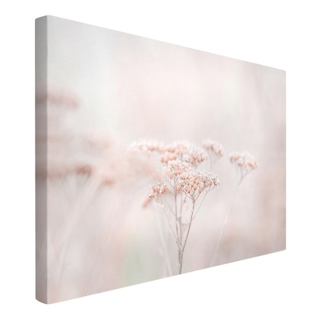 Canvas schilderijen Pale Pink Wild Flowers
