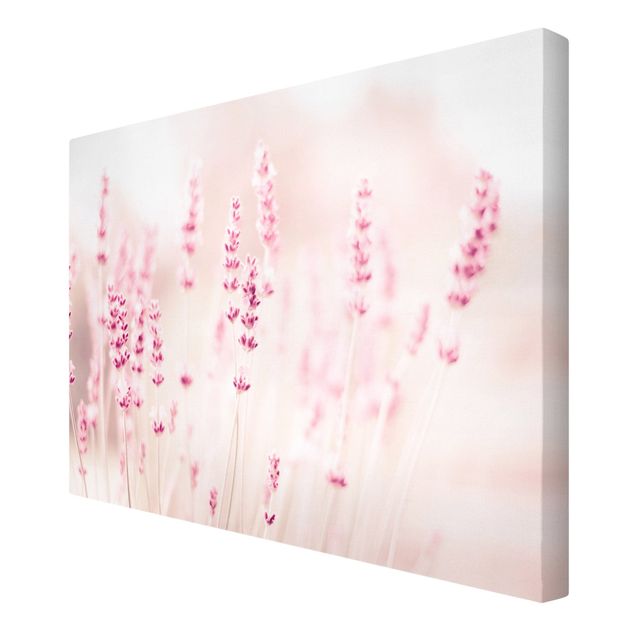 Canvas schilderijen Pale Pink Lavender