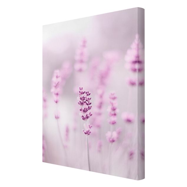 Canvas schilderijen Pale Purple Lavender