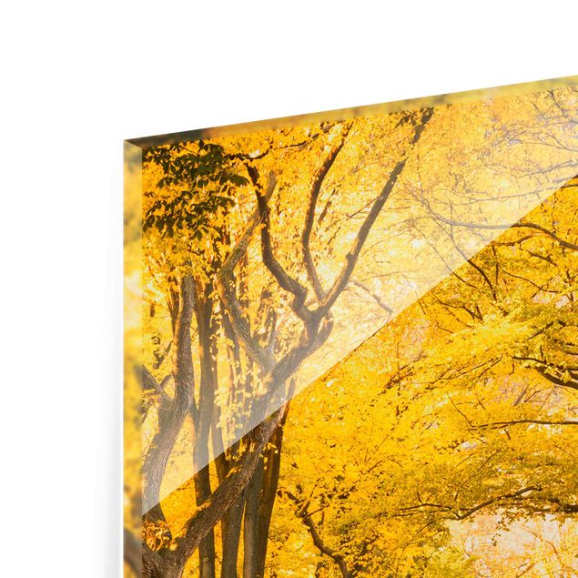 Glasschilderijen Autumn In Central Park