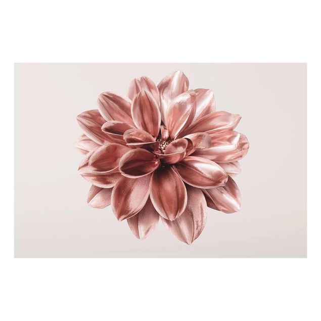 Glasschilderijen Dahlia Flower Pink Gold Metallic