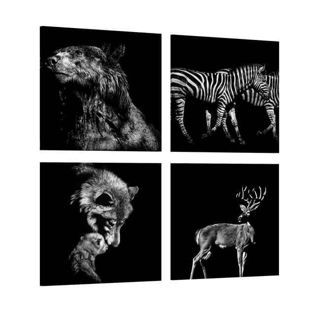 Canvas schilderijen - 4-delig Wild Animals From Black Set I