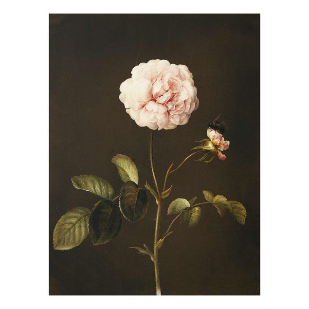 Glasschilderijen Barbara Regina Dietzsch - French Rose With Bumblbee