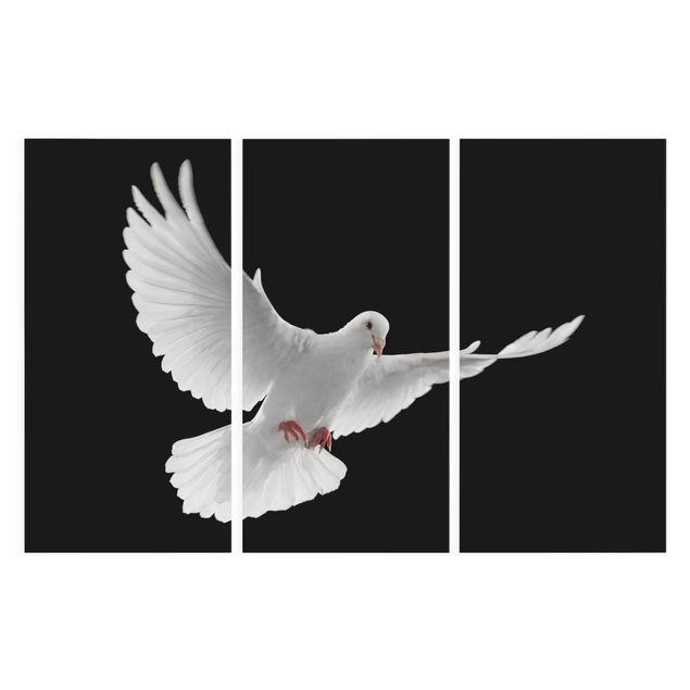 Canvas schilderijen - 3-delig Dove Of Peace