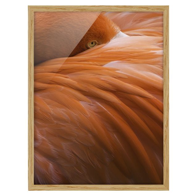Ingelijste posters Flamingo Feathers