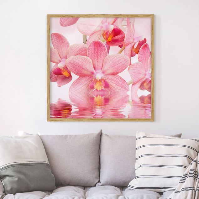 Ingelijste posters Light Pink Orchid On Water