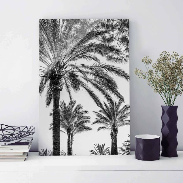 Glas Magnettafel Palm Trees At Sunset Black And White