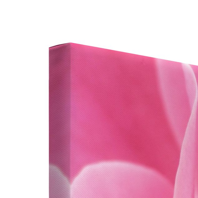 Canvas schilderijen - 3-delig Lustful Pink Rose
