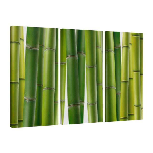 Canvas schilderijen - 3-delig Bamboo Plants