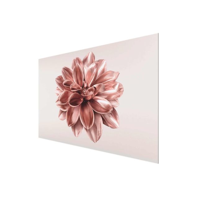 Glasschilderijen Dahlia Flower Pink Gold Metallic