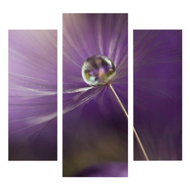 Canvas schilderijen - 3-delig Dandelion In Violet