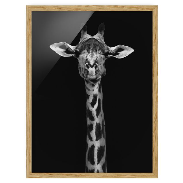 Ingelijste posters Dark Giraffe Portrait