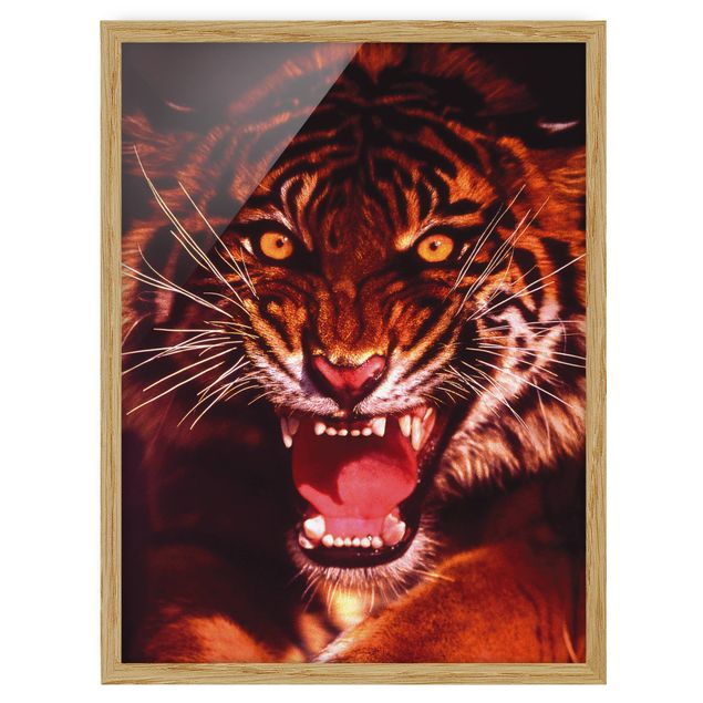 Ingelijste posters Wild Tiger