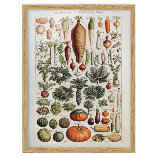 Ingelijste posters Vintage Board Vegetables