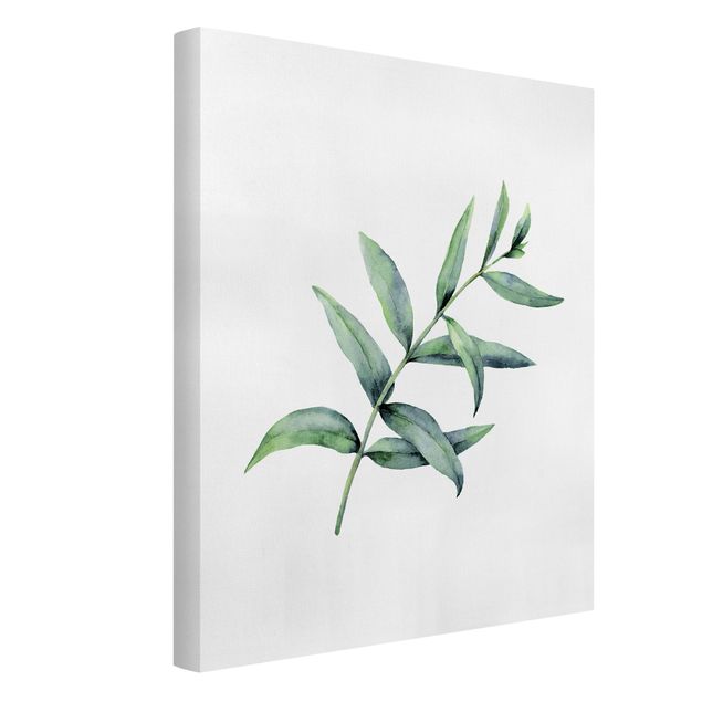 Canvas schilderijen Waterclolour Eucalyptus l