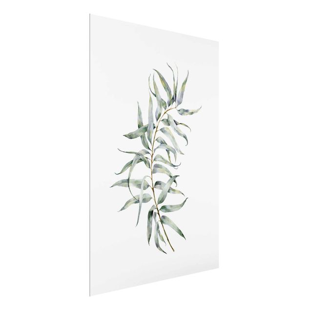 Glasschilderijen Waterclolour Eucalyptus lV