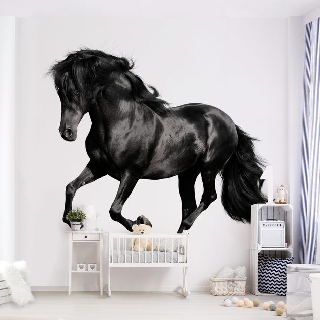Fotobehang Arabian Stallion