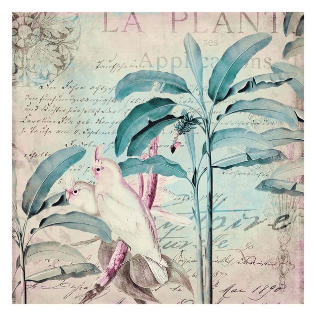 Fotobehang Colonial Style Collage - Cockatoos And Palm Trees