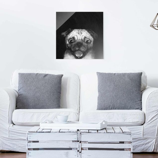 Glas Magnettafel Illustration Dog Pug Painting On Black And White