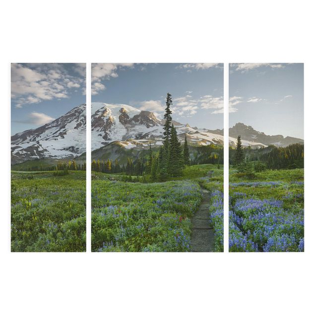 Canvas schilderijen - 3-delig Mountain View Meadow Path
