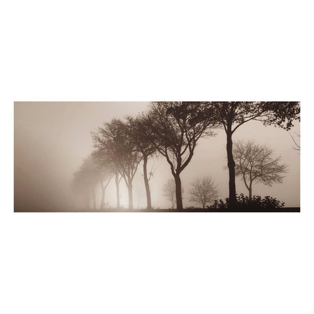Glasschilderijen Tree Avanue In Morning Mist