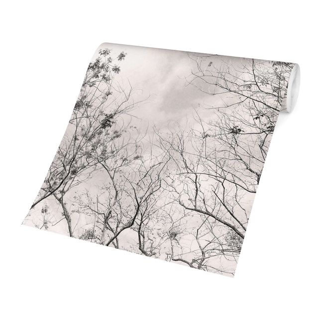 Fotobehang Treetops in a warm grey sky