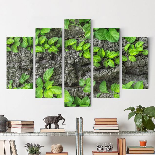 Canvas schilderijen - 5-delig Ivy Tendrils Tree Bark