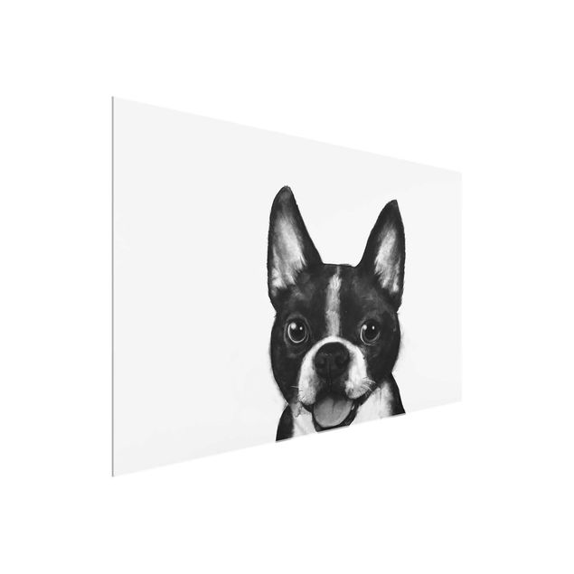 Glasschilderijen Illustration Dog Boston Black And White Painting