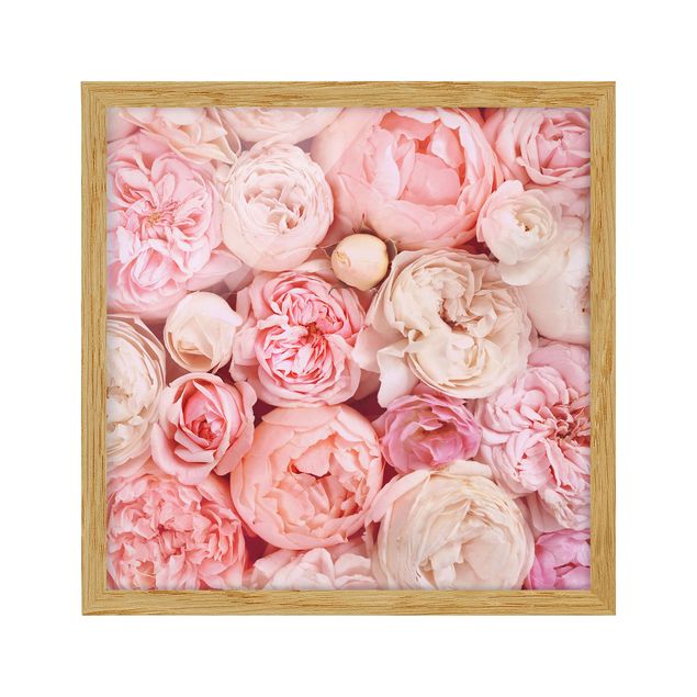 Ingelijste posters Roses Rosé Coral Shabby