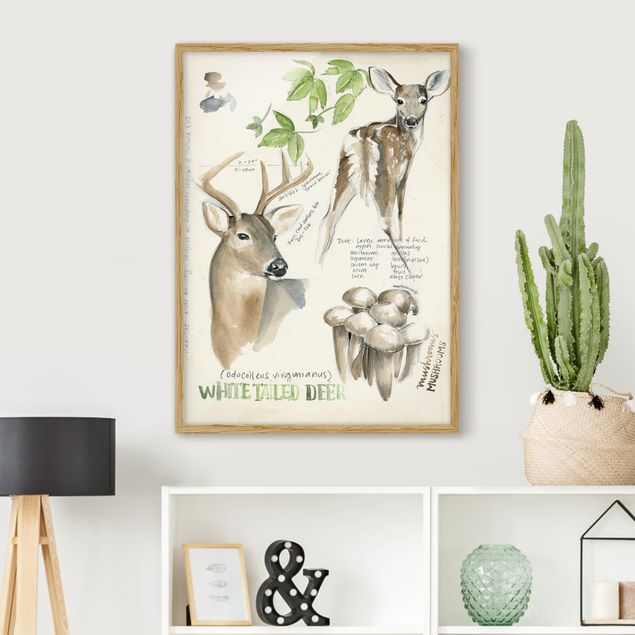 Ingelijste posters Wilderness Journal - Deer