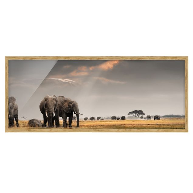Ingelijste posters Elephants in the Savannah