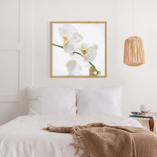Ingelijste posters White Orchid Waters