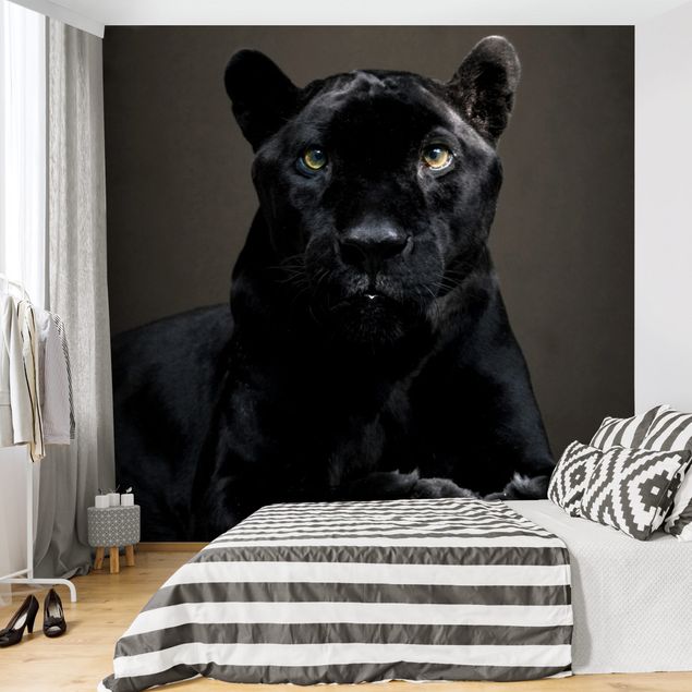 Fotobehang Black Puma