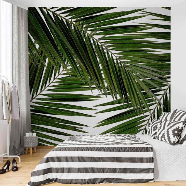 Fotobehang View Through Green Palm Leaves