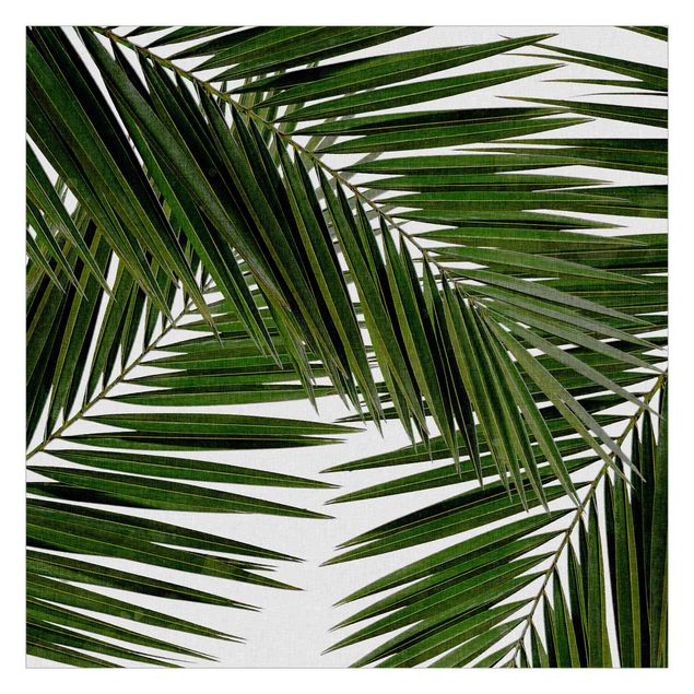 Fotobehang View Through Green Palm Leaves