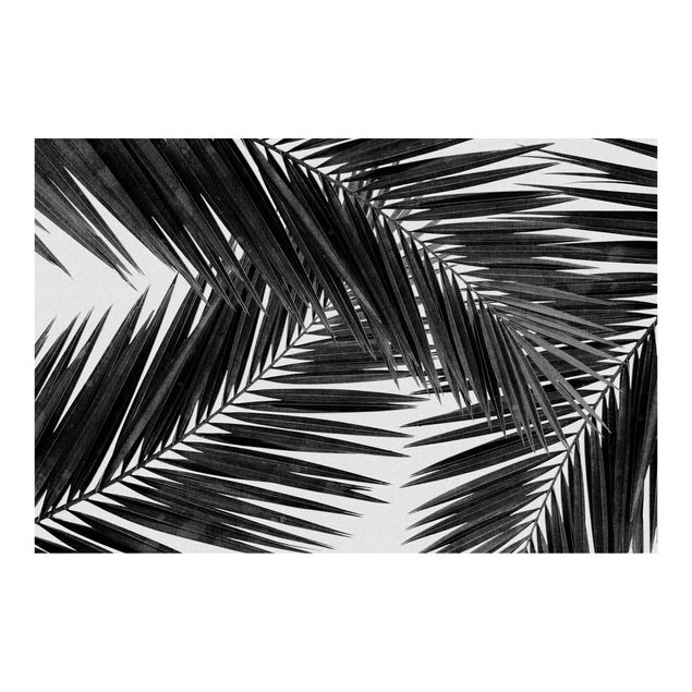 Fotobehang View Over Palm Leaves Black And White