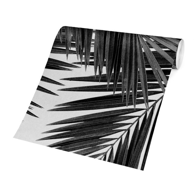 Fotobehang View Through Palm Leaves Black And White