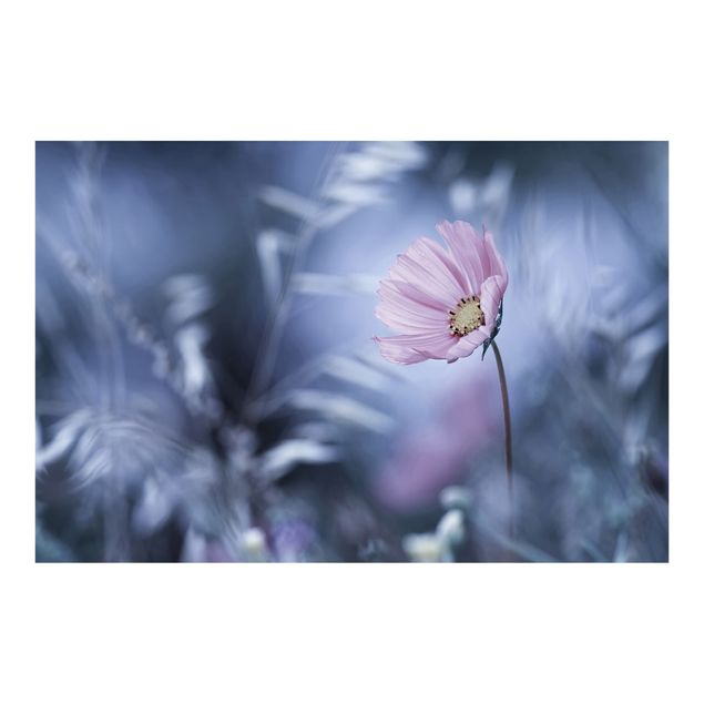 Fotobehang Bloom In Pastel