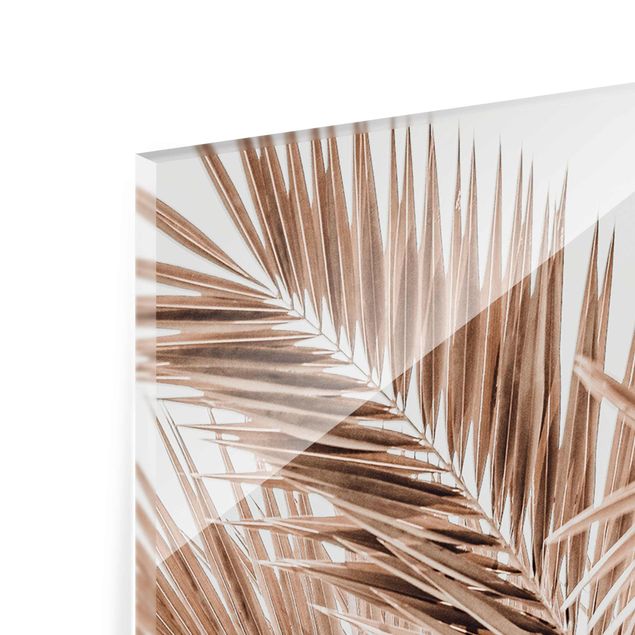 Glasschilderijen Bronze Coloured Palm Fronds