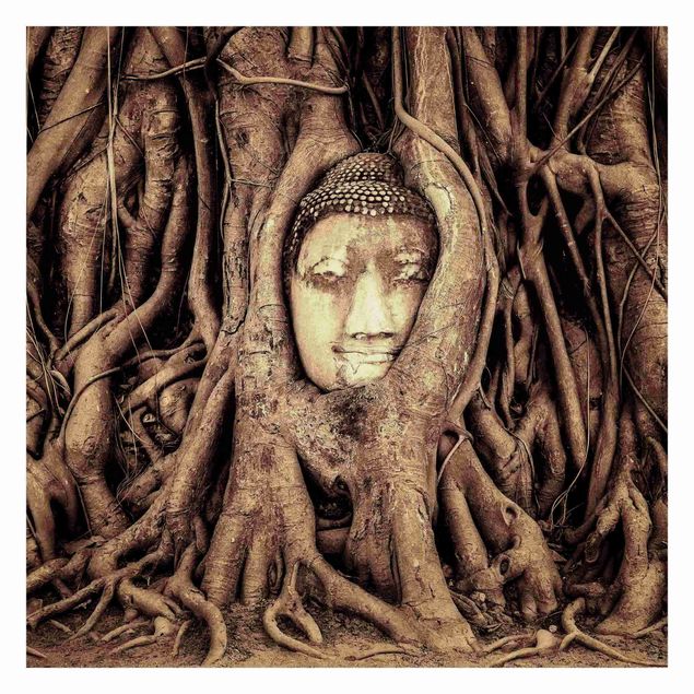 Fotobehang Buddha In Ayutthaya Lined From Tree Roots In Brown