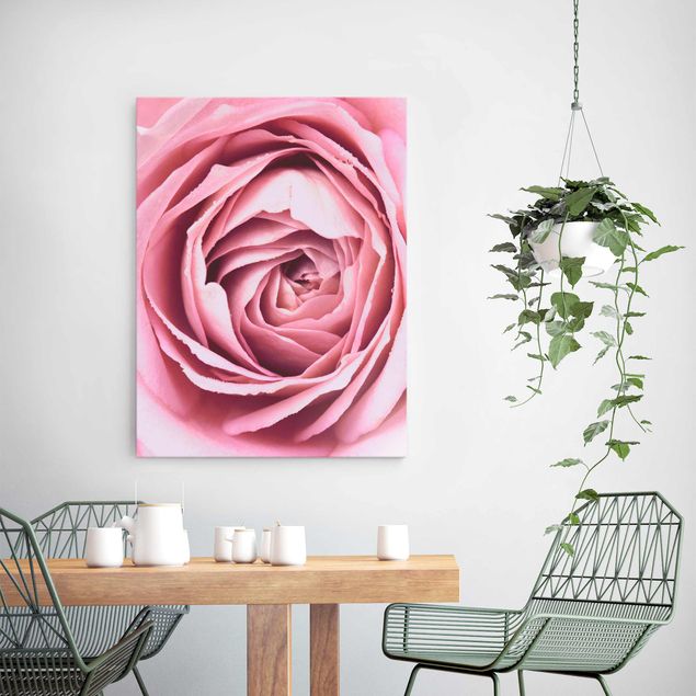 Magnettafel Glas Pink Rose Blossom
