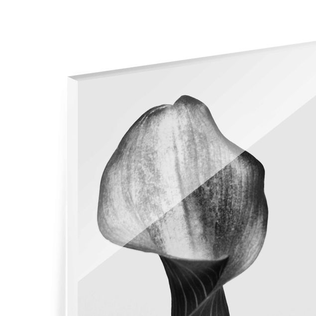 Glasschilderijen Calla Close-Up Black And White