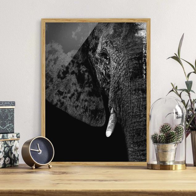 Ingelijste posters African Elephant black and white