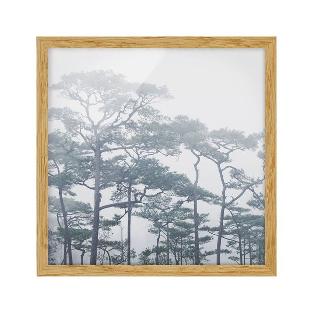 Ingelijste posters Treetops In Fog