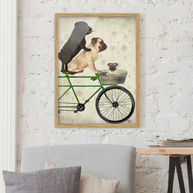 Ingelijste posters Cycling - Pugs On Bike