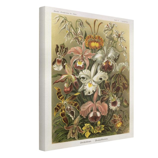 Canvas schilderijen Vintage Board Orchid