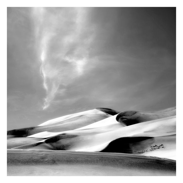 Fotobehang Colorado Dunes Black And White