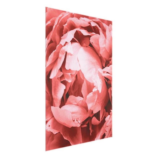 Glasschilderijen Peony Blossom Coral